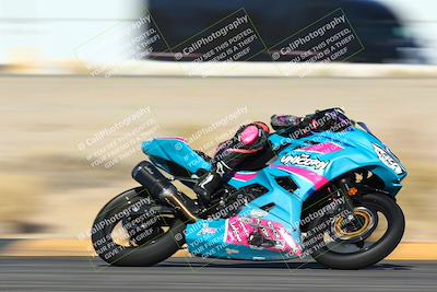 media/Jan-13-2024-SoCal Trackdays (Sat) [[9c032fe5aa]]/Turn 16 Set 2 (1120am)/